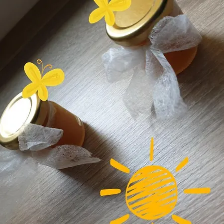 Apartment Sweet Honey Mieszkanie W Plocku