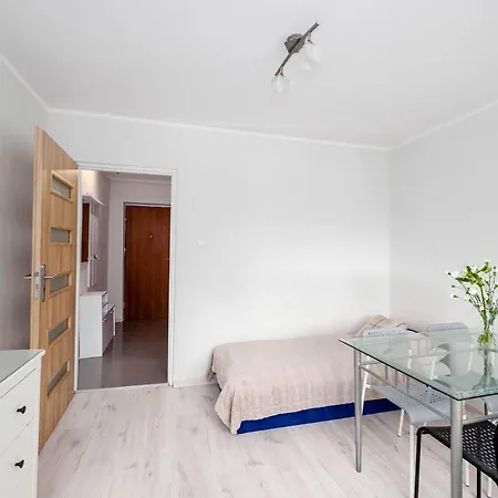Sweet Honey Mieszkanie W Plocku Apartment *