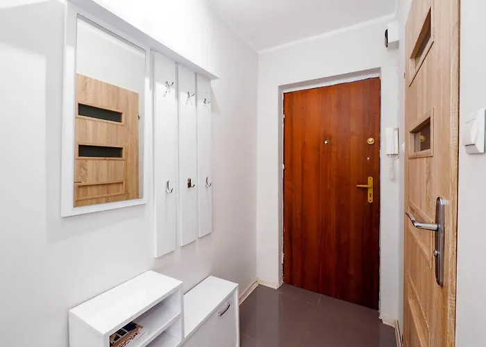 Apartament Sweet Honey Mieszkanie W Płocku Płock